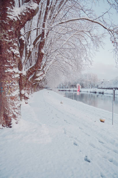 Bare Trees on an Avenue Alongside a Walking Path Near a River on a Cold Snow Covered Winter Day