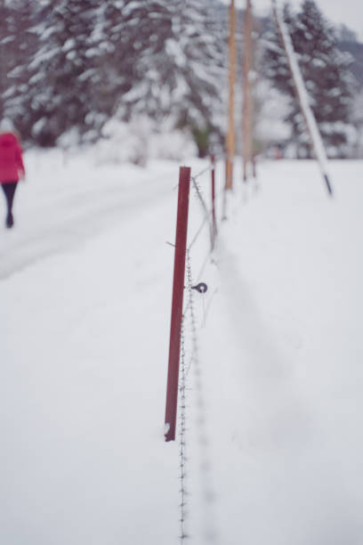 Barb Wire Fence with Electrical Wires Enclosing a Snow Field on a Cold Winter Day
