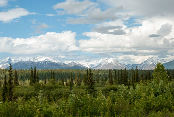 Forest and snow=capped mountains of Denali seen from the Alaska Railroad