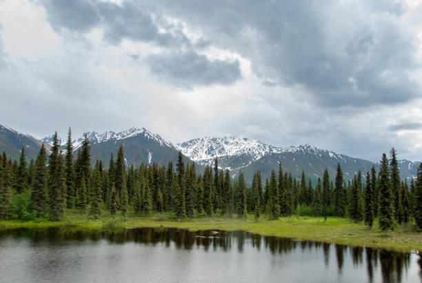 Forest and snow=capped mountains of Denali seen from the Alaska Railroad