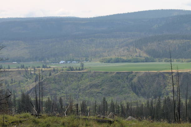 istock Homesteads in the ranch lands 2169499794