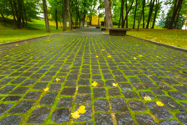 wet stony road in the autumn park