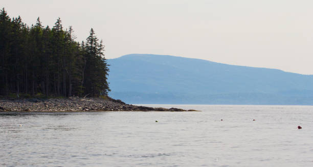 istock Frenchman Bay in Summer, Maine 2169505345