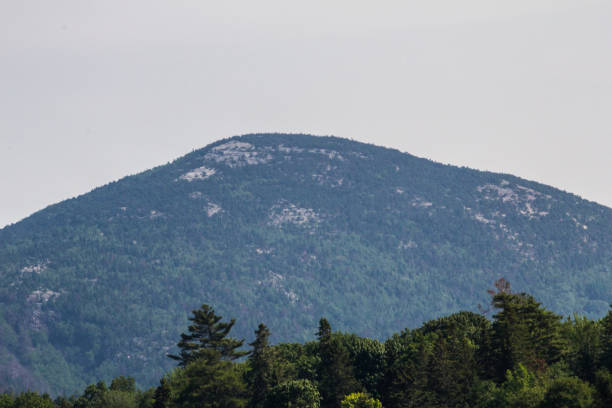 Frenchman Bay in Summer, Maine