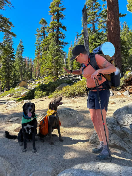 istock Hiker woman with Weimaraner and Majorca Shepherd 2169507720