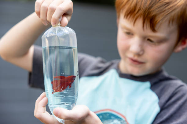 Young Redhead Boy Looking at His New Fish in a Plastic Bag
