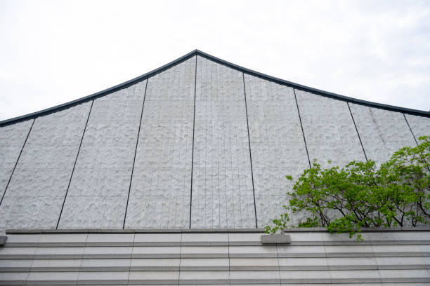 A tree on the exterior wall of a modern villa building