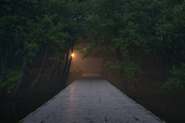 Xixi South Scenery in Anhui, China