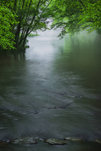 Xixi South Scenery in Anhui, China