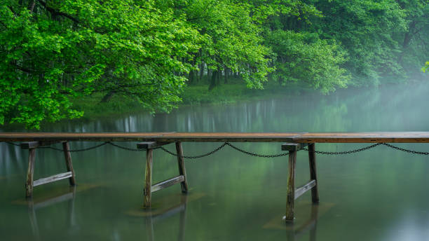 Fantastic foggy river with fresh green grass in the sunlight. Sun beams through tree. Dramatic colorful scenery. Calm river in summer at the sunrise