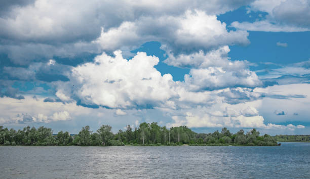 A forest on the riverbank under a blue cloudy sky, a calm summer landscape.