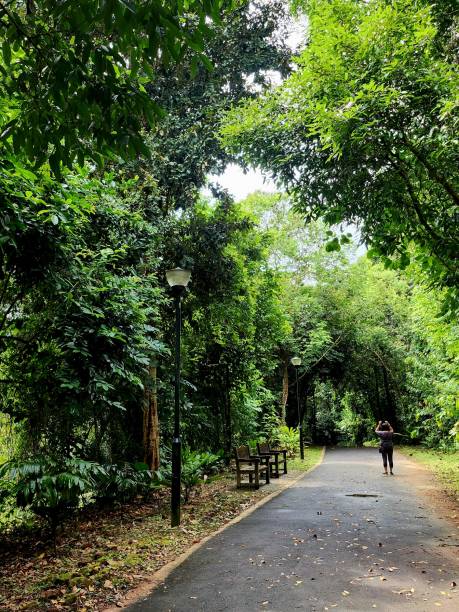 istock Kent Ridge Park in Singapore 2169520797