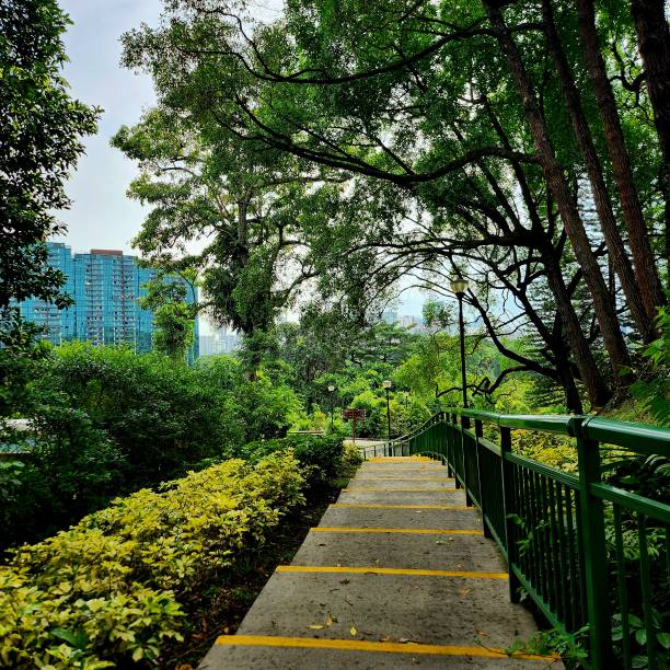 Kent Ridge Park in Singapore