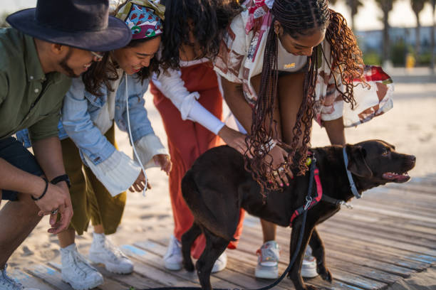 A joyful group of diverse friends in casual beachwear engage with a playful dog on a sunny shore, sharing a moment of leisure outdoors.