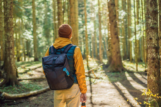istock man in warm clothes enjoys a walk in a pine forest 2169528283