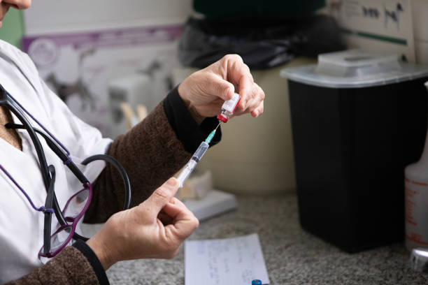 Female veterinary doctor preparing a syringe for vaccination