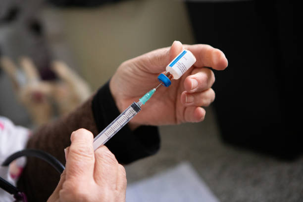 istock Female veterinary doctor preparing a syringe for vaccination 2169528583