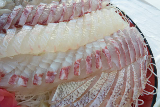 istock sashimi of sea bream fish 2169536079
