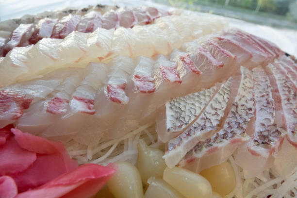istock sashimi of sea bream fish 2169536080