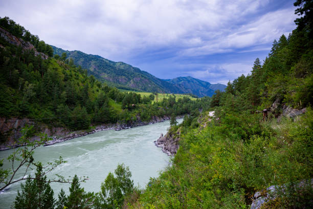 istock Beautiful landscape - mountain river and forest in Altai 2169538453
