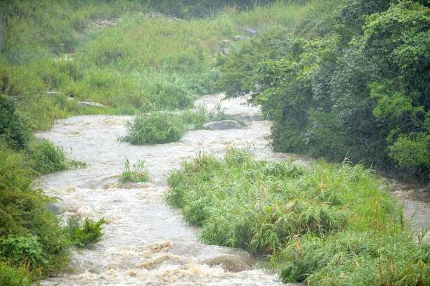 istock A stream with swollen waters due to heavy rain 2169540652