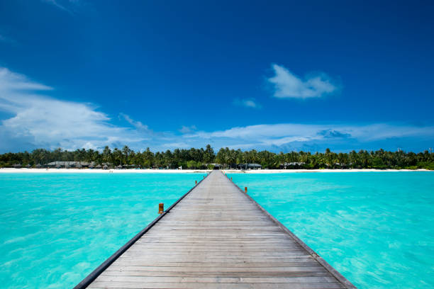 istock beach and tropical sea. beach landscape 2169551393