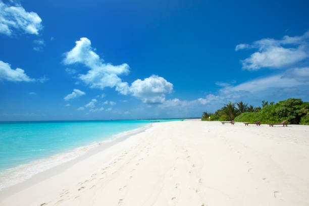 istock beautiful beach and tropical sea 2169551395