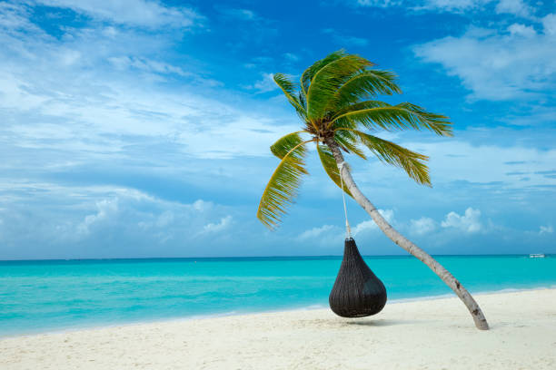 beautiful beach and tropical sea