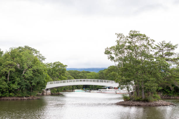 Couples paddling on wood boats on the lake, the elegant curves of bow bridge with its vases in Central Park, Manhattan, New York City