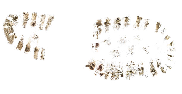 istock Dirty footprint from shoes. 2169559081