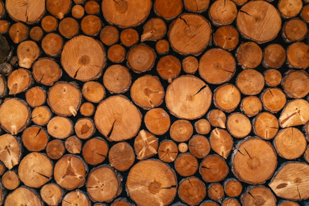 istock Natural log pile. round teak log texture. Background pattern interior wall decoration photo. 2169560854