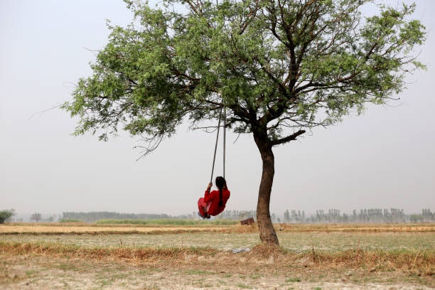 Elementary child of Indian ethnicity swinging on the rope hanging on the tree together outdoor in nature video portrait during Teej festival.