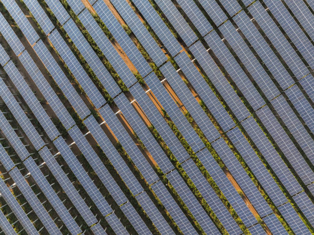 istock Solar farm.High angle view of rows of solar panels 2169565529