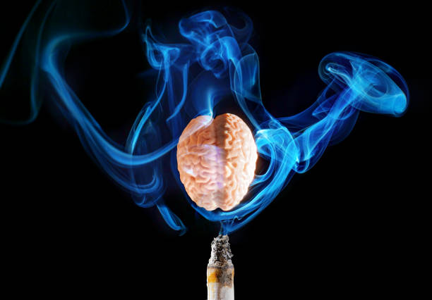 istock Human Brain Model Surrounded by Blue Smoke from Cigarette on Black Background 2169569020