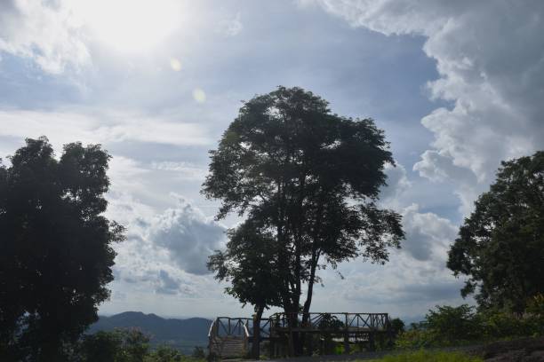 landscape of tree on mountain at Chet kod in Thailand
