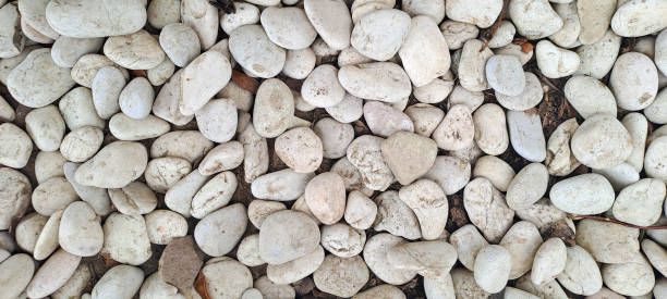 istock Decorative stone. Top view of round river stones floor 2169573598