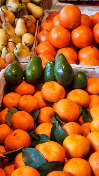 istock Fresh Oranges and Avocados at a Market Stall 2169579625