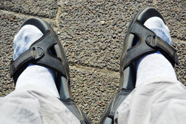 Brown Leather Slippers-Sandals On White Background