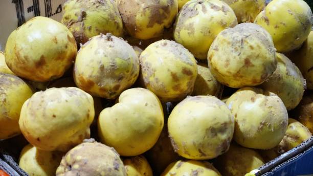 istock Fresh Yellow Quinces at a Market Stall 2169582800