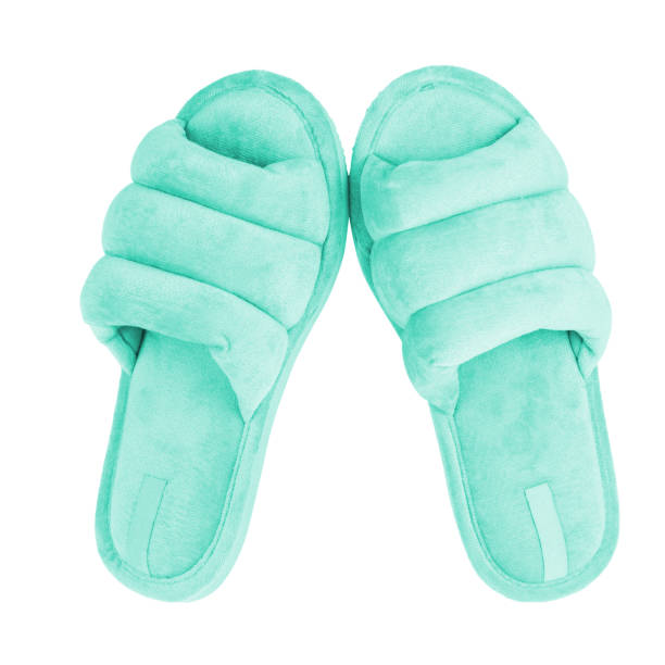 istock Pair of soft fluffy slippers on white background 2169583792