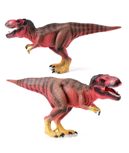 3D rendering of a dinosaur Tyrannosaurus Rex isolated on white background