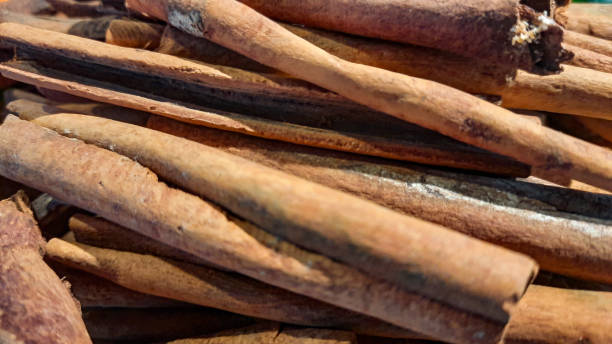 istock The Aromatic World of Cinnamon 2169587014