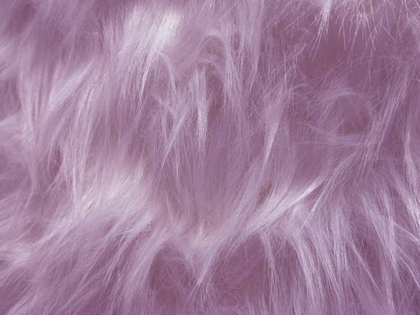 istock Purple white faux fur background 2169588615