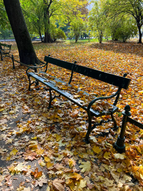 istock Autumn leaves beautiful foliage bench in park 2169591435