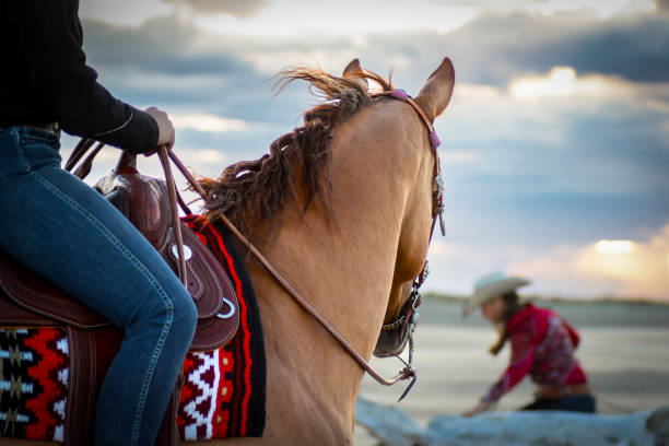 A western horse and her rider look out over the horizon on a sandy beach on a summer's evening