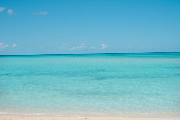 Castaway Cay Beach Ocean Caribbean Bahamas