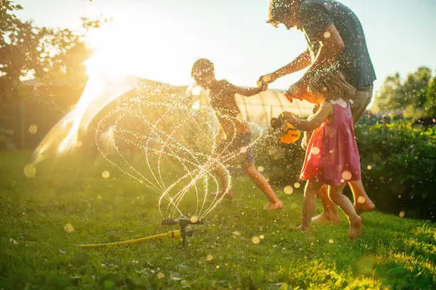 Father with children running through sprinkler at back yard in summer evening in sunset Father with children running through sprinkler at back yard in summer evening in sunset