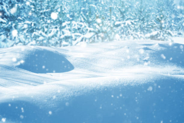 Landscapes. Frozen winter forest with snow covered trees. outdoor. landscape