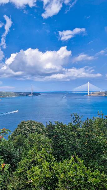 Bosphorus forests blue sky bridge themed wide angle landscape photo