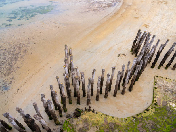 Aerial view of a weathered wooden breakwater along a damp sandy beach in Saint-Malo, Brittany